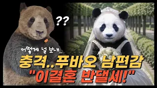 푸바오 남편감에  "이 결혼 반댈세" 어떻게 널 보내...