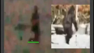 Bigfoot Sighting in Oregon (ThinkerThunker)