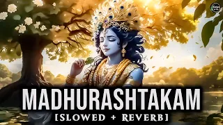 Madhurashtakam | Slowed + Reverb | Adharam Madhuram Lofi | Bhakti Song | Krishna for Life