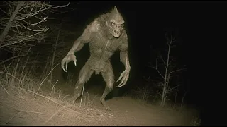 DISTURBING BEASTS CAPTURED ON TRAIL CAM COMPILATION