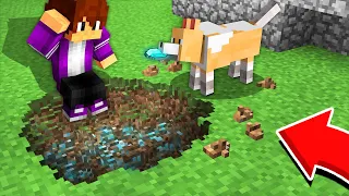 СОБАКА СТАЛА МОИМ ПОМОЩНИКОМ В МАЙНКРАФТ 100% троллинг ловушка minecraft