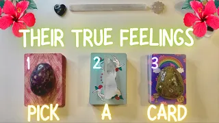 How They Are Currently Feeling About You👀🌺| PICK A CARD🔮 In-Depth Tarot Reading