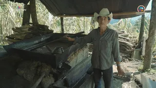 Como se hace el Aguardiente de Piloncillo