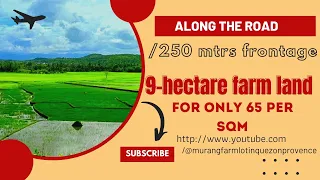 (Vlog#27) 9-hectare farm land for only 65-pesos per sqm Along the road/250-mtrs frontage sa kalsada