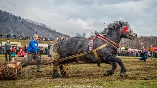 Furmanské preteky (Kľačianská podkova 2018)