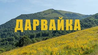 Mount Darvayka - one of the most scenic peaks in the Ukrainian Carpathians