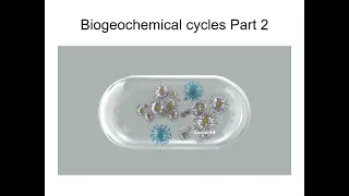 Biogeochemical Cycle Part 2