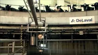 DeLaval PR3100HD Parallel Melkkarussell | Das ultimative Melksystem für große Milchviehbetriebe