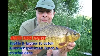 Crucians & Tench - Tackle and Tectics to catch a summer Specimen