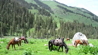 Kyrgyzstan, Chon-Kemin valley(NP), Kalmak-Ashuu Gorge, Chon-Tash