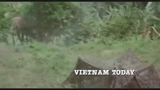 Best Action Film Full 2021 ll movie vietnam new 2021