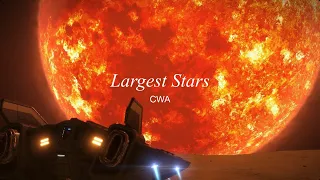 The Largest Stars