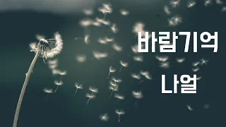 바람기억 - 나얼 (2012, 가사포함)