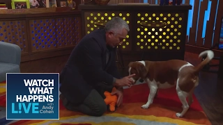 EXCLUSIVE: Cesar Millan Teaches Andy and Wacha New Tricks | WWHL