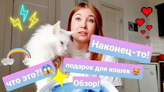 Фонтан для кошек Tenberg Stream: мой обзор!  Профилактика мочекаменной.