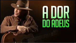 Eduardo Costa - A dor do Adeus DVD Pantanal (Som Vídeos variáveis)