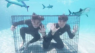 Last To Escape UNDERWATER CAGE Wins $20,000!