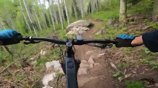 Spring Roll - Steamboat MTB