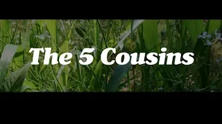The Five Cousins, a Permaculture Plant Guild by Matt Powers