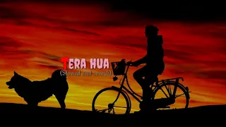 Tera Hua - Lyrics || Atif Aslam || Loveyatri || Aayush Sharma || Warina Hussain ||