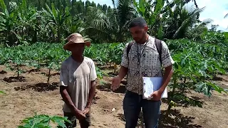 Um pouco do dia a dia do homem do campo.