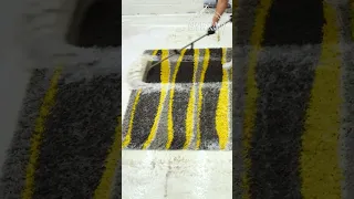 A Rug Cleaning Nightmare: The Finale! Watch Till The End For The Big Reveal!  #shorts