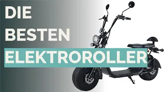 🌵 Die 12 besten Elektroroller