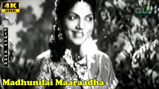 Madhunilai Maaraadha Song | Sivaji Ganesan | P. Bhanumathi | Rani Lalithangi | HD Song