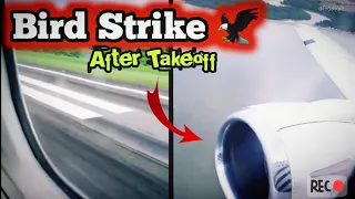 ✅Bird Strike Caught on Camera After Takeoff on Boeing 737-300,Mexico | #Birdstrike