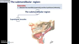 Overview of Head Exterior (Pre-auricular and Sub-mandibular Regions) - Dr. Ahmed Farid