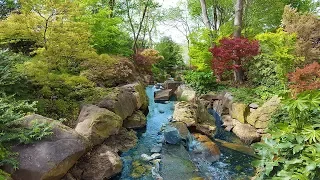 Dallas Botanical Garden: Spring Tour