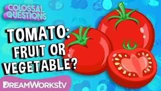 Is a Tomato a Fruit or a Vegetable? | COLOSSAL QUESTIONS