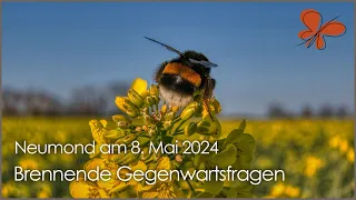 Miteinander brennende Gegenwartsfragen beantworten • Neumond am 8. Mai 2024 • Ilona Krämer