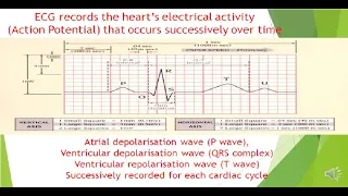 ELECTROCARDIOGRAM ECG/EKG BASICS FOR BEGINNERS (LECTURE 1)  INTRODUCTION, USES & LIMITATIONS OF ECG