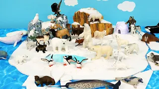 Arctic Tundra Diorama and Animal Figurines - Learn Animal Names