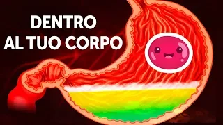 Un viaggio dentro il tuo corpo