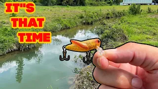 IS This the Most Fun Creek Fishing Lure??