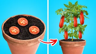 EASY HOME GROWING HACKS to make your plants healthy and blossom