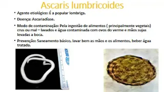 Nematoides   8ºano