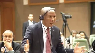 Julius Malema Lectures Pan-African Parliament