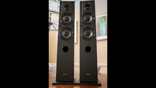 Sony SSCS3 Tower Speaker Review - Nope