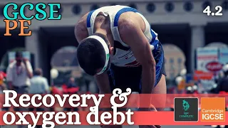 GCSE PE - RECOVERY, OXYGEN DEBT & EPOC - Anatomy and Physiology (Energy & Exercise Effects - 4.2)