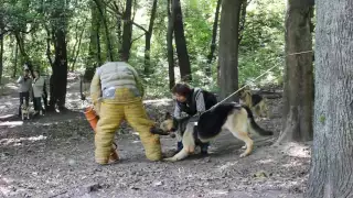 Тагир и Алеант Велемир. Тренировка в ШОС "АРЕС" 12.06.16