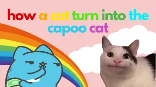 how a normal cat turn into the capoo cat