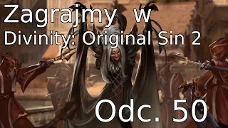 Zagrajmy w Divinity: Original Sin 2 Co-op # Odc. 50