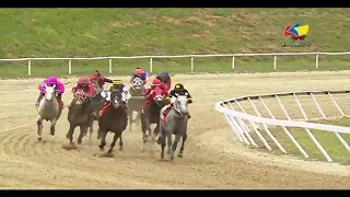 Copa "Invitacional del Caribe" | Templario |  Hipódromo Internacional La Rinconada | Reunión 50 |