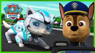 ¡Los cachorros se reúnen con la Cuadrilla Cat por primera vez! - PAW Patrol Episodio Español Español