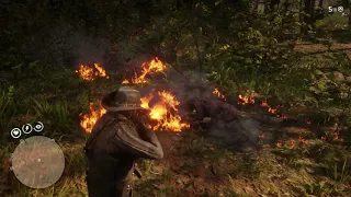 Red Dead Redemption 2: How to Find All 16 Legendary Animals!