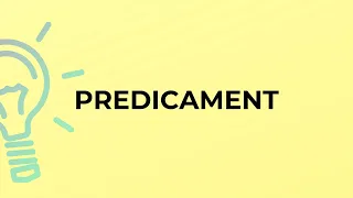 What is the meaning of the word PREDICAMENT?