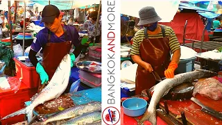 Amazing Big Fish Market In Thailand